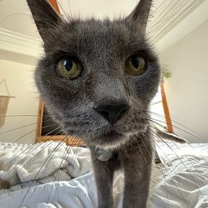 Meet your Posher, Chris